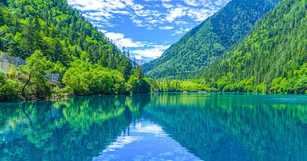森林康养旅游的概念