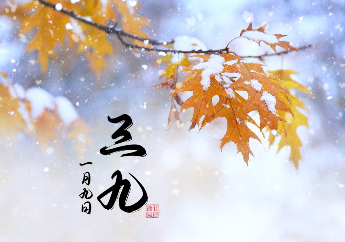 最冷“三九天”，牢记“三忌三养”，身体安康过大年！