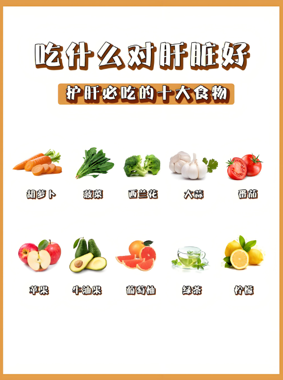 日常饮食中我们如何护肝