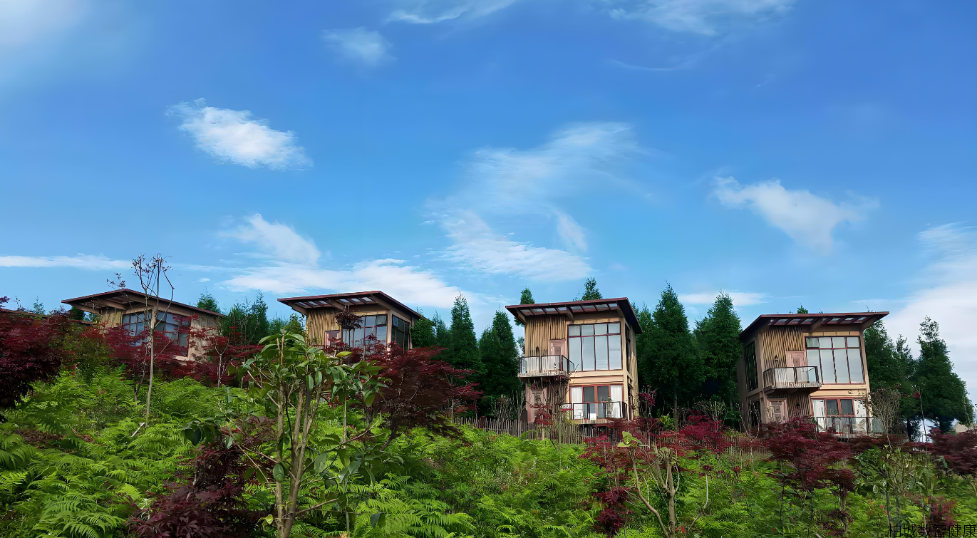 中国森林康养发展的现状与愿景