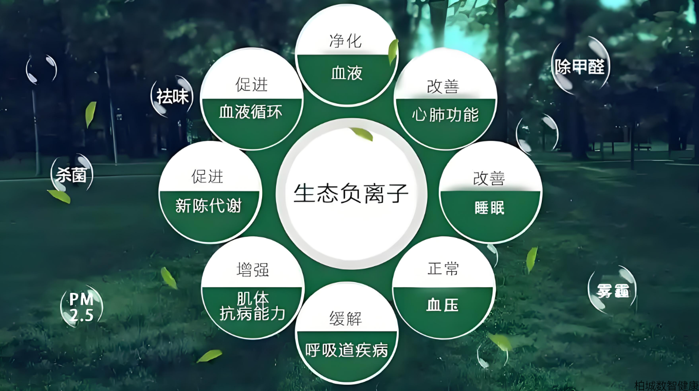 森林里的“活力精灵”：负氧离子