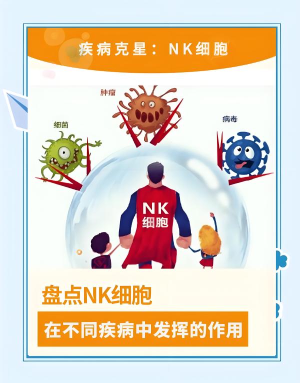 森林康养:自然疗愈力如何提升人体免疫力?