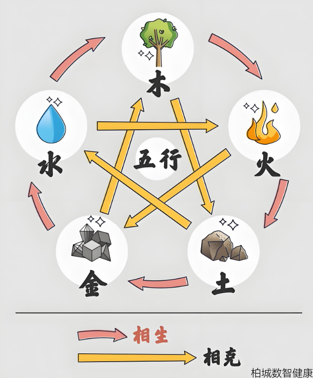 身体里的金木水火土：中医五行藏象的生命密码
