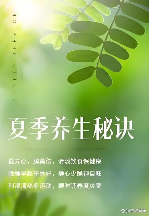 夏日炎炎，巧用饮食调养身心