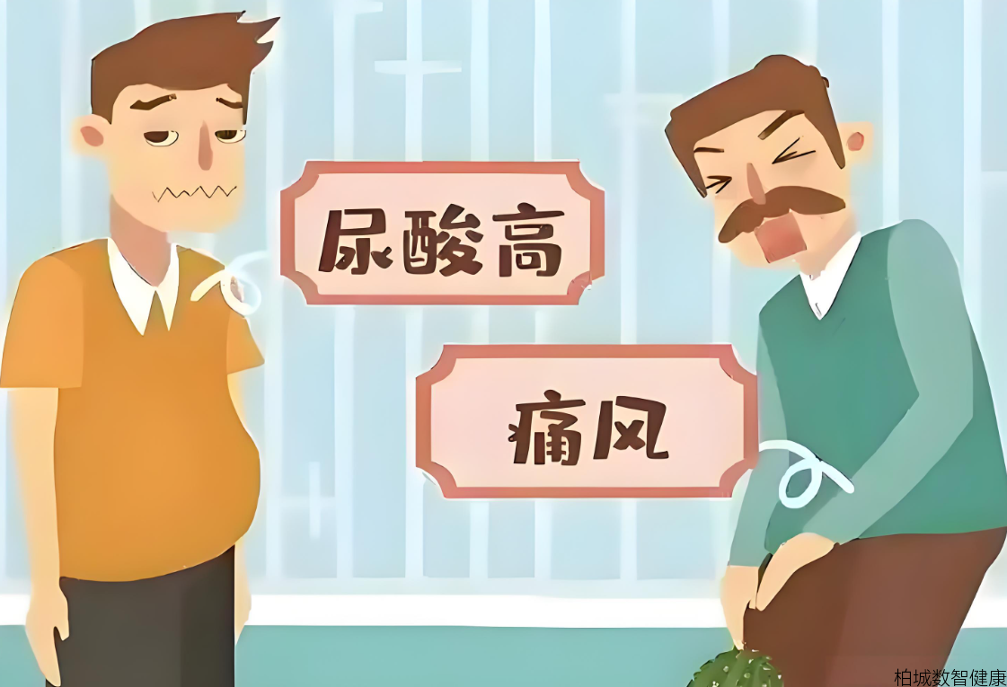 高尿酸：被忽视的“第四高”，科学预防守护健康