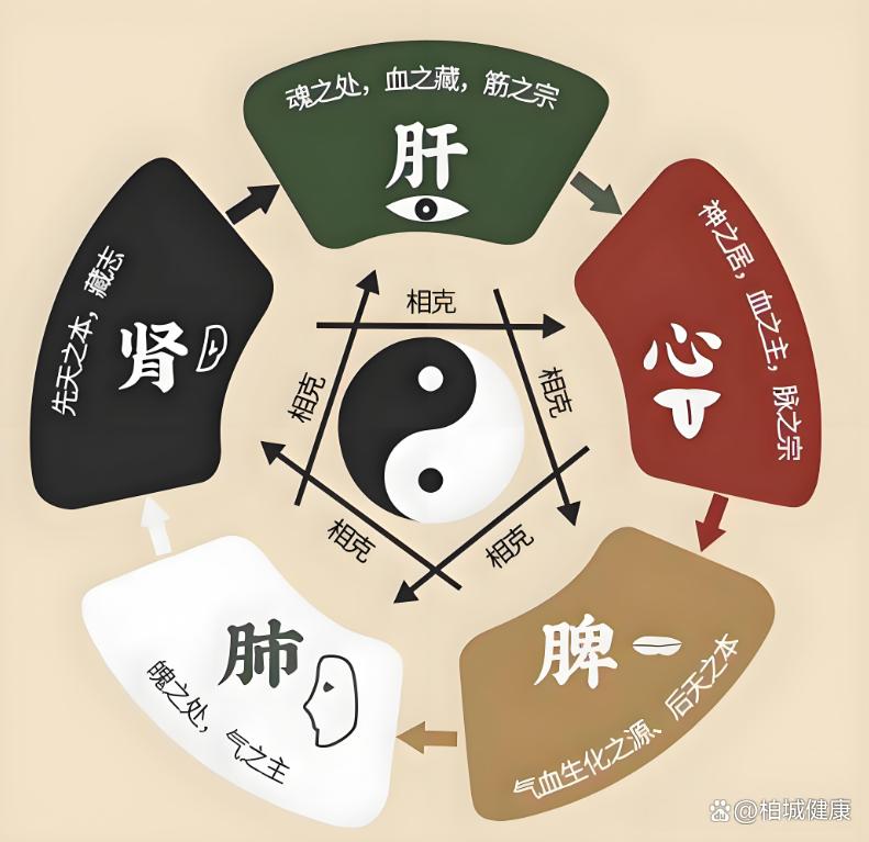 中医视角下的高尿酸调理：温和自然的平衡之道