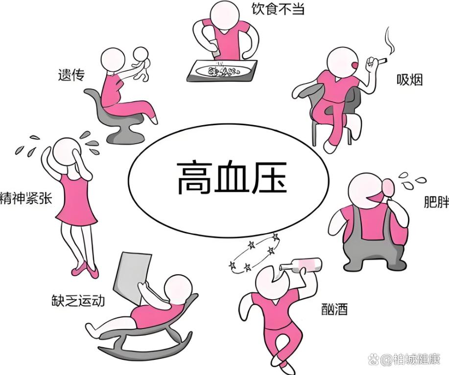 呵护健康，稳住血压：日常生活中的温和调理