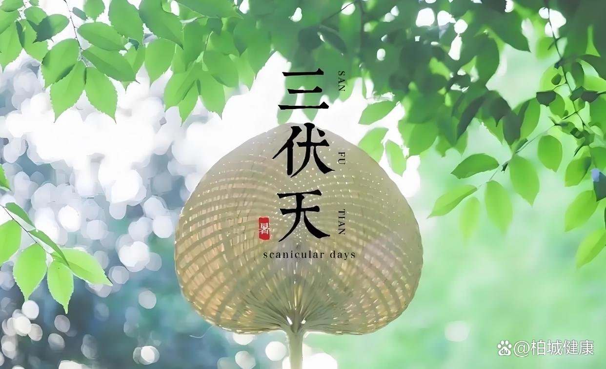 三伏祛湿正当时：30天黄金期，四步逼出体内寒湿