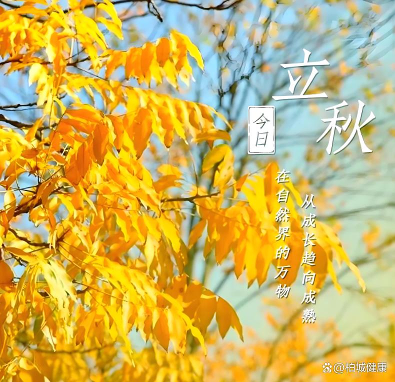 秋收时节养生歌