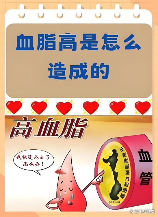 血液里的“油”为何悄悄变多？这些日常习惯让血管悄悄变“粘稠”