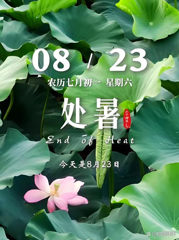 处暑至，秋意渐浓：顺应时节，守护健康