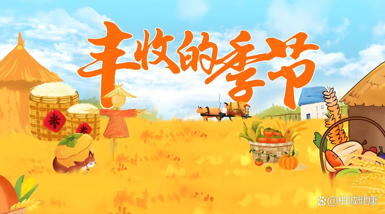 秋收食韵：应季食材的健康之道